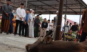 8C555238-CDB7-42D7-B87D-BCA499216977