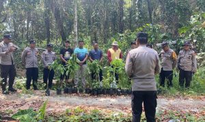 4AEDA1C0-8DB5-4A6D-8801-60715FEF6436